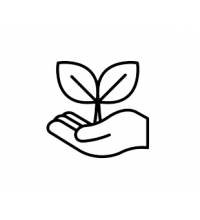 СИСТЕМЫ КАБЕЛЬНЫХ ТЕЛЕЖЕК ДЛЯ САДОВОДСТВА